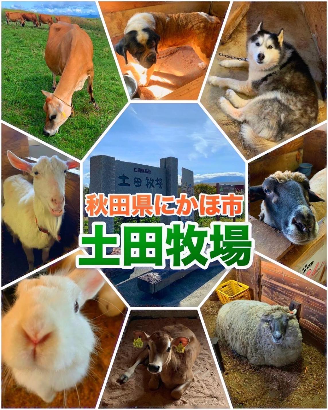 Hotel Dolphia-Adult Only 다이센 외부 사진
