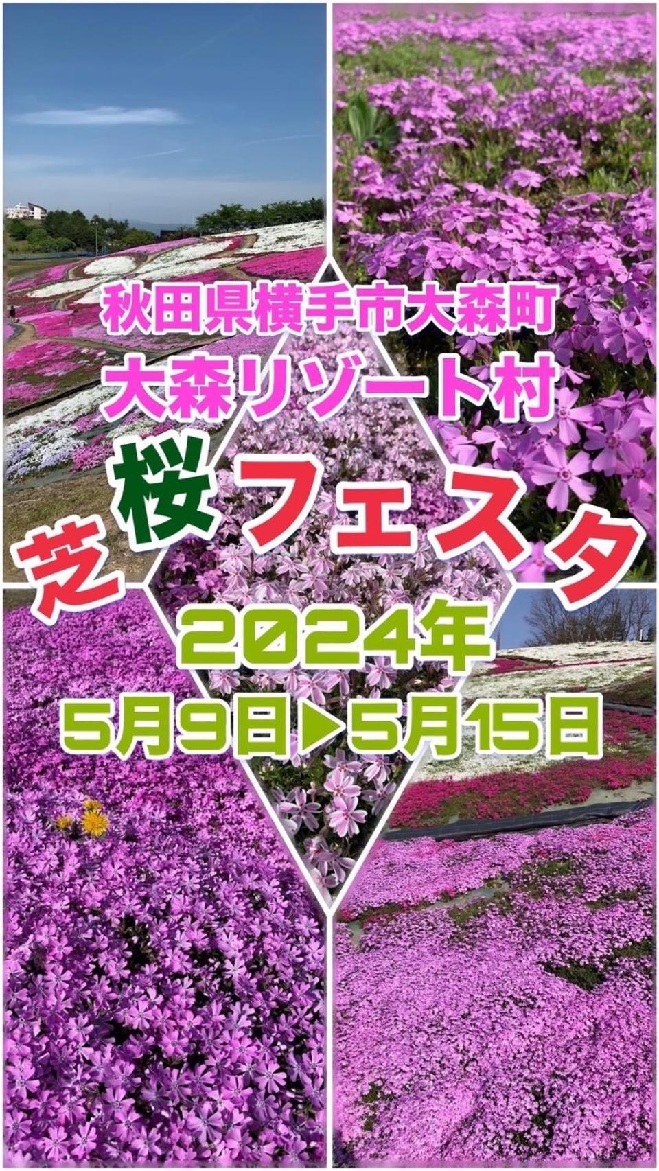 Hotel Dolphia-Adult Only 다이센 외부 사진